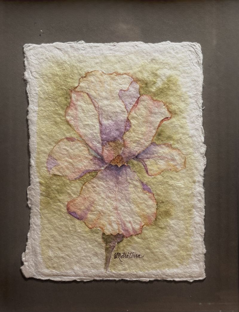 Iris